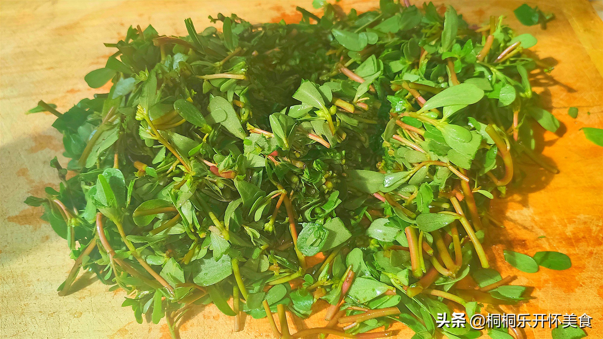 野菜马齿苋食用效果,马齿苋加一物泡水喝对肠胃好