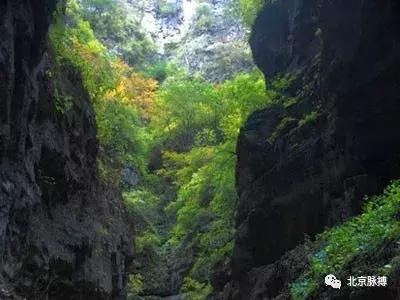 北京国家森林公园风景,画说北京故事