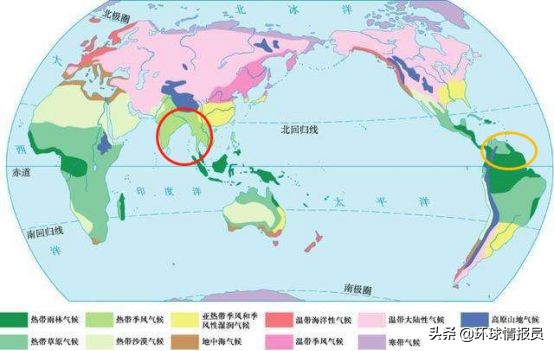 圭亚那有多少印度人,圭亚那人口总数