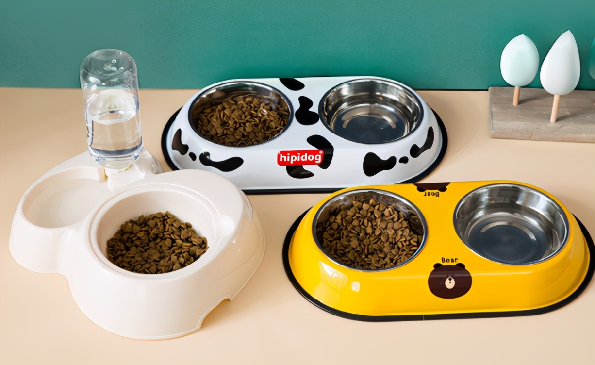 养小猫攻略,养2个月小猫攻略