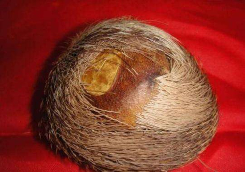 道孚县特色小吃,四川道孚有什么特产