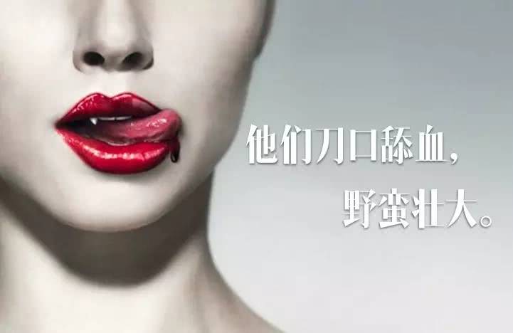 乐视网300104股票价格,300104乐视网明天会涨吗