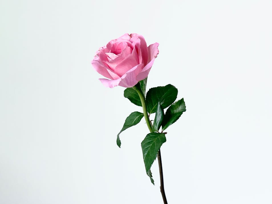 女人如何才能做到面对挫折,女人如何面对不幸的婚姻