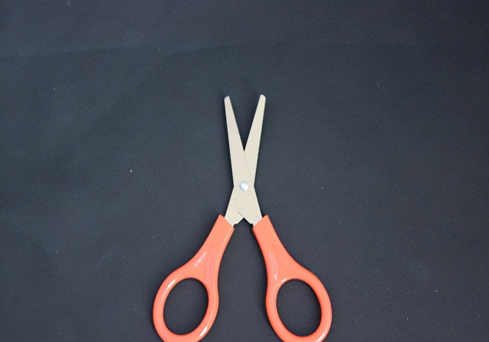 养宠小知识狗狗破皮了能洗澡吗,新手怎么护理狗狗