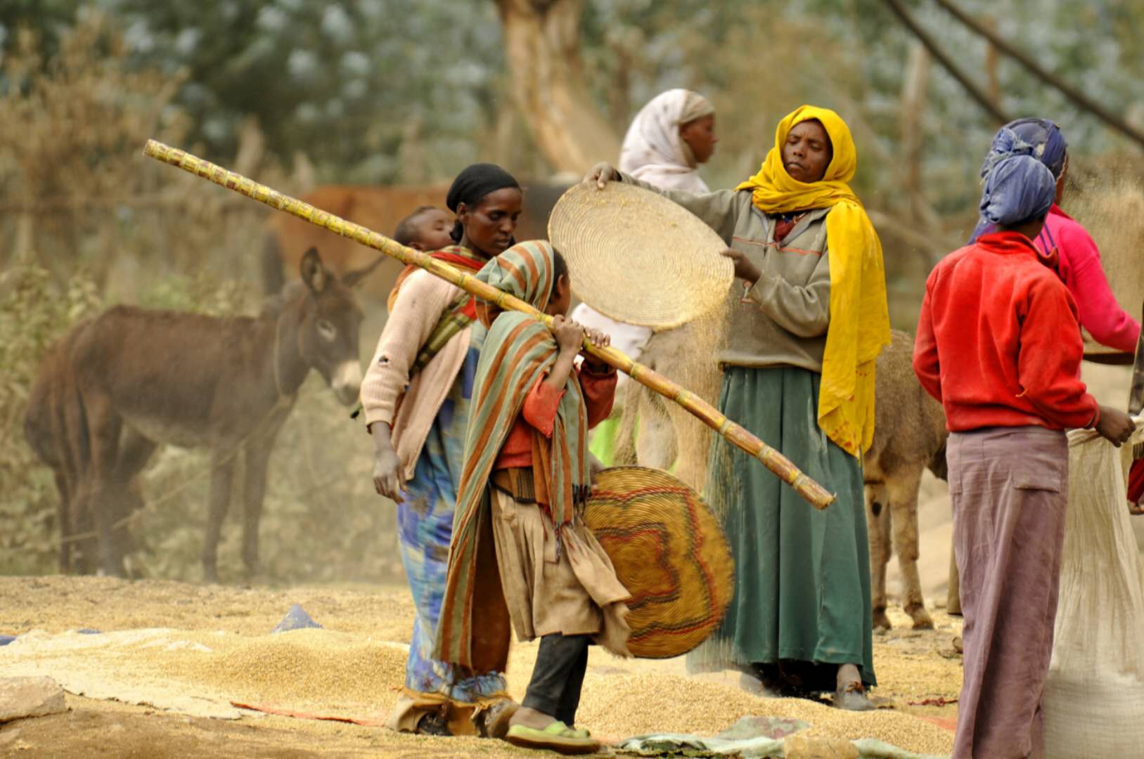 去非洲工作是种什么样的体验?他说除了吃睡,其余时间都在工作