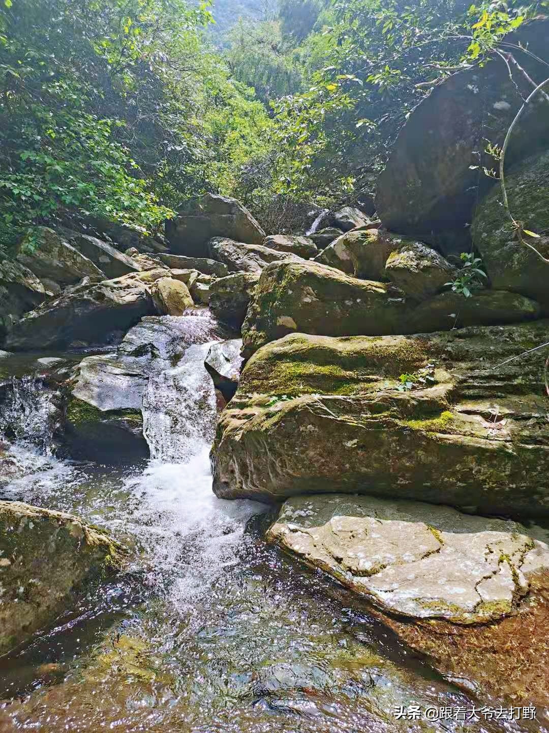 九宫山溯溪怎么去,九宫山附近免费溯溪