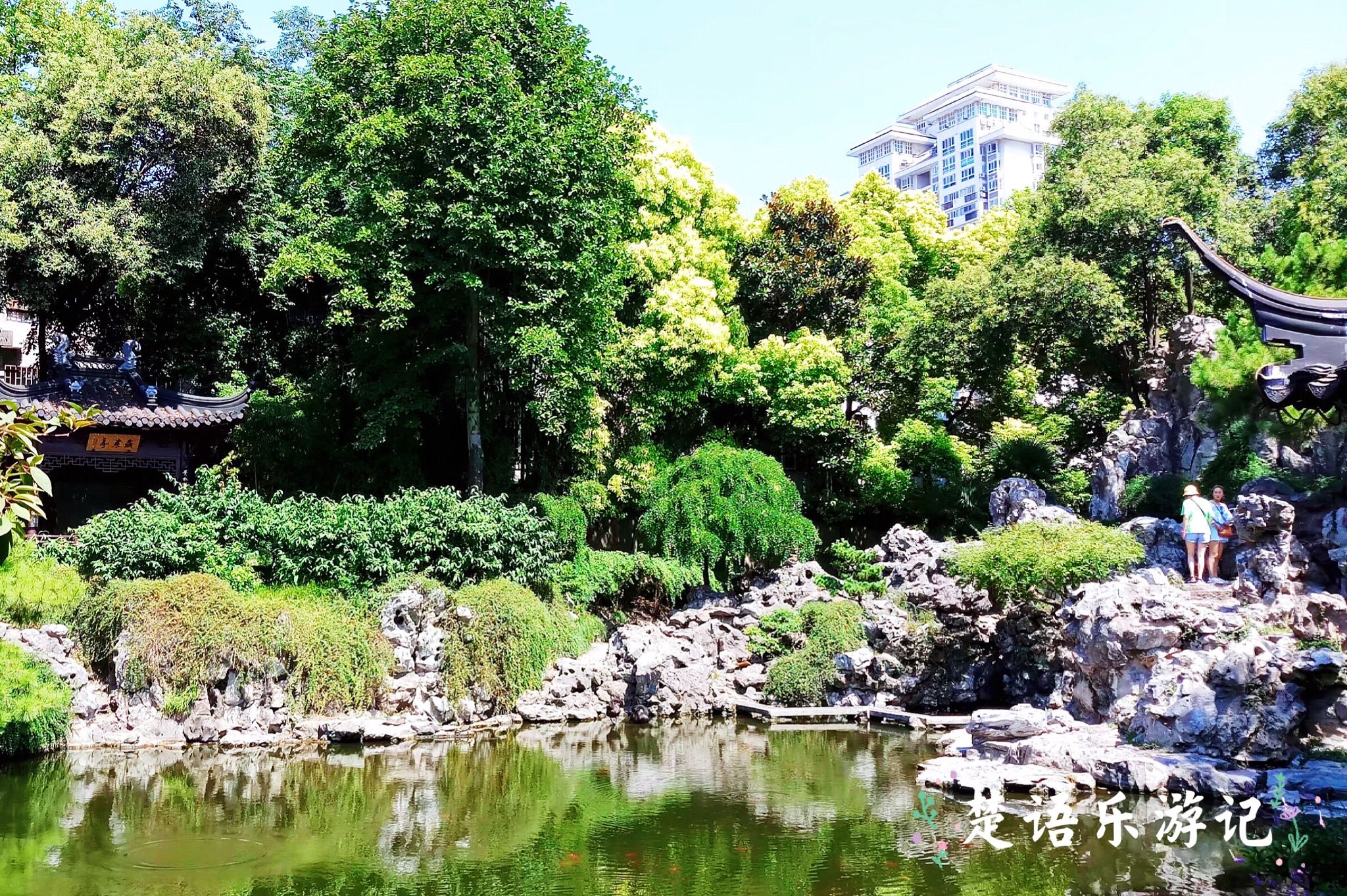 南京一个小众园林,金陵第一园是苏州园林吗