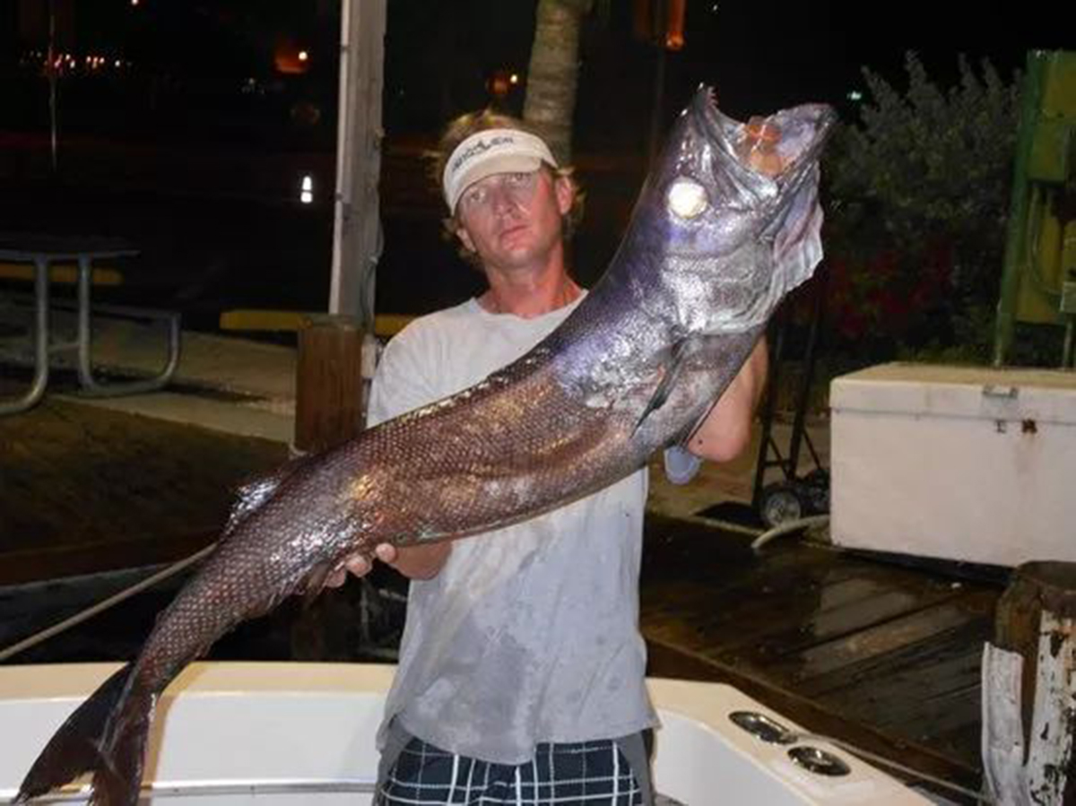 名不虚传的费裤衩鱼，吃完化身喷油射手，香滑口感带来尴尬境遇