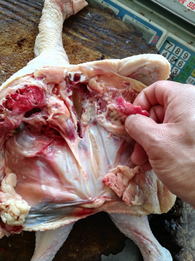 鸡怎么剁成小块视频,如何把整鸡分解小块