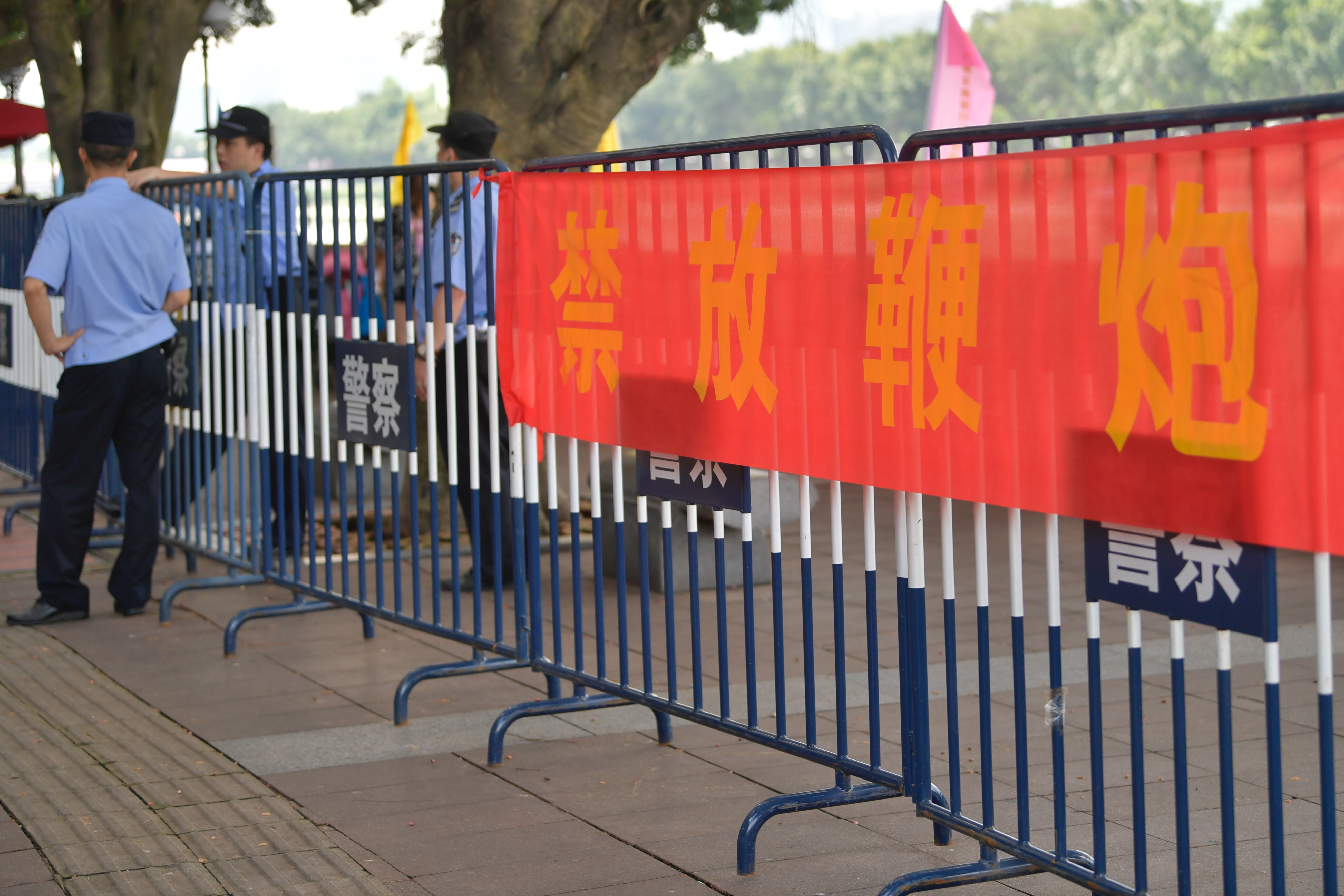 杨箕龙舟,杨箕村龙舟