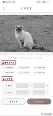 手机图片裁剪软件,在手机上怎么裁剪图片