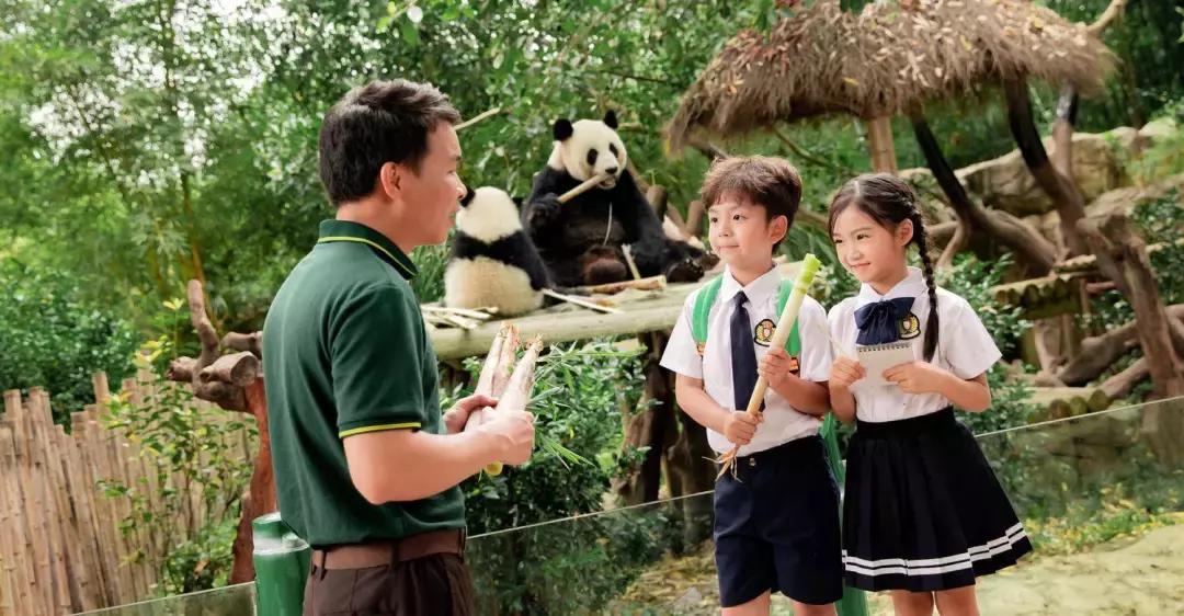 带小婴儿长隆动物园游玩攻略,亲子游玩广州熊猫酒店长隆攻略