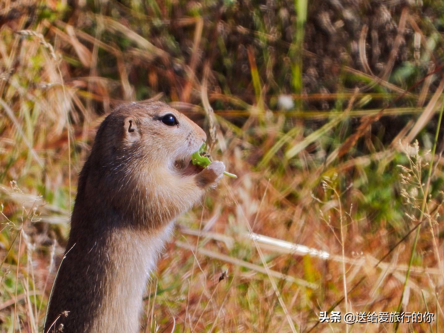 真正有品质的旅行是完全放松,享受独一无二的旅行体验