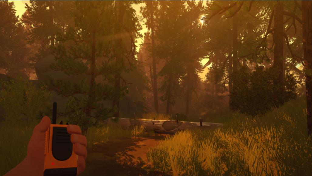 关于澳大利亚的大火,澳大利亚的大火视频