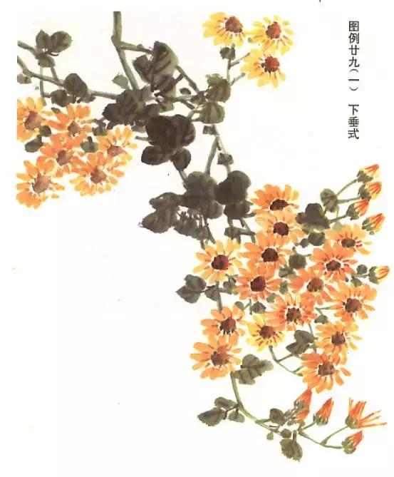 菊花国画入门简单教程,国画菊花画法技法教程