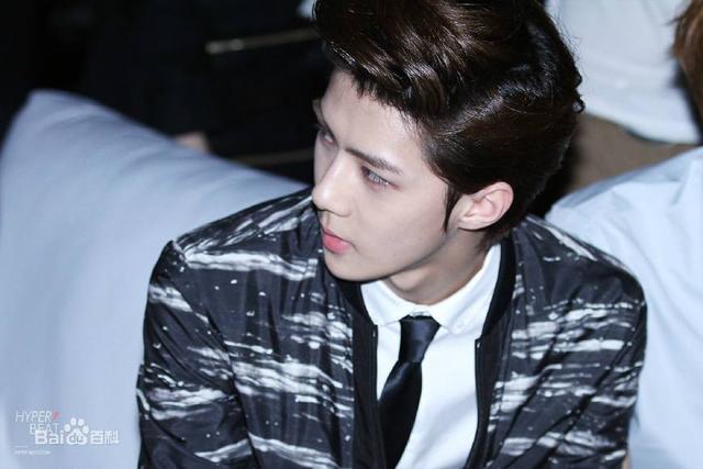 他是顶级男团门面，被称为爱豆中的贵族，却多次对女神公开示爱