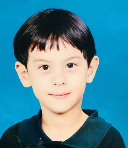 李玲玉吴磊,李玲玉混血儿子近照曝光