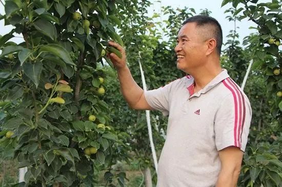 农村三产融合如何搞？一位创业者投资心经：先产品再产业