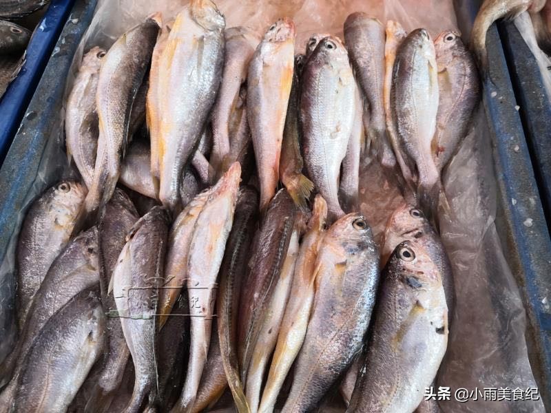 哪些食用鱼好吃又好养殖,什么食用鱼比较好养又有价值