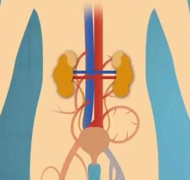 赌命交易是骗人的吗,一定要警惕骗人的套路