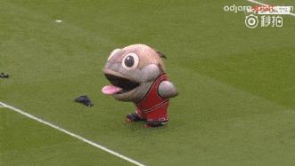 足球场上奇葩红牌,足球奇葩故事