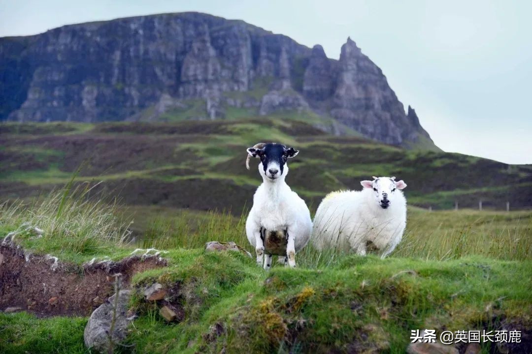 英国最值得去的小镇,英国旅行避暑推荐地方有哪些