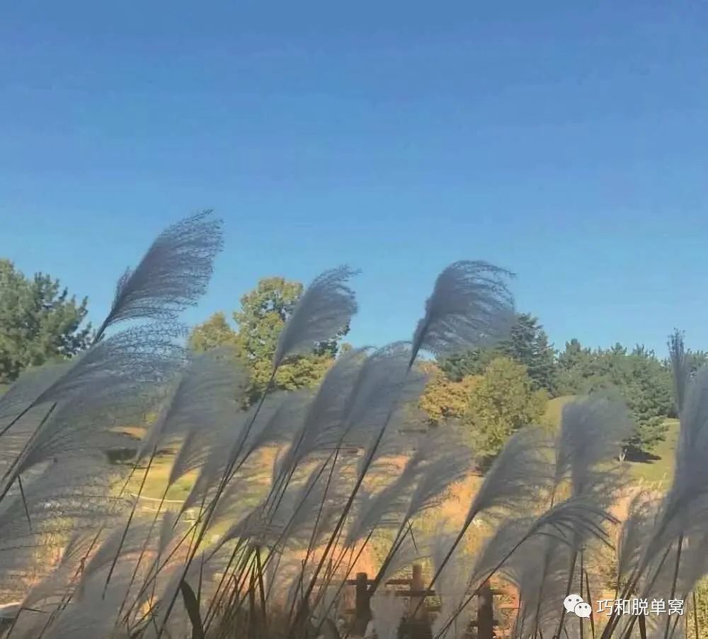 为什么直男总是这么不讨喜,直男有多不讨喜