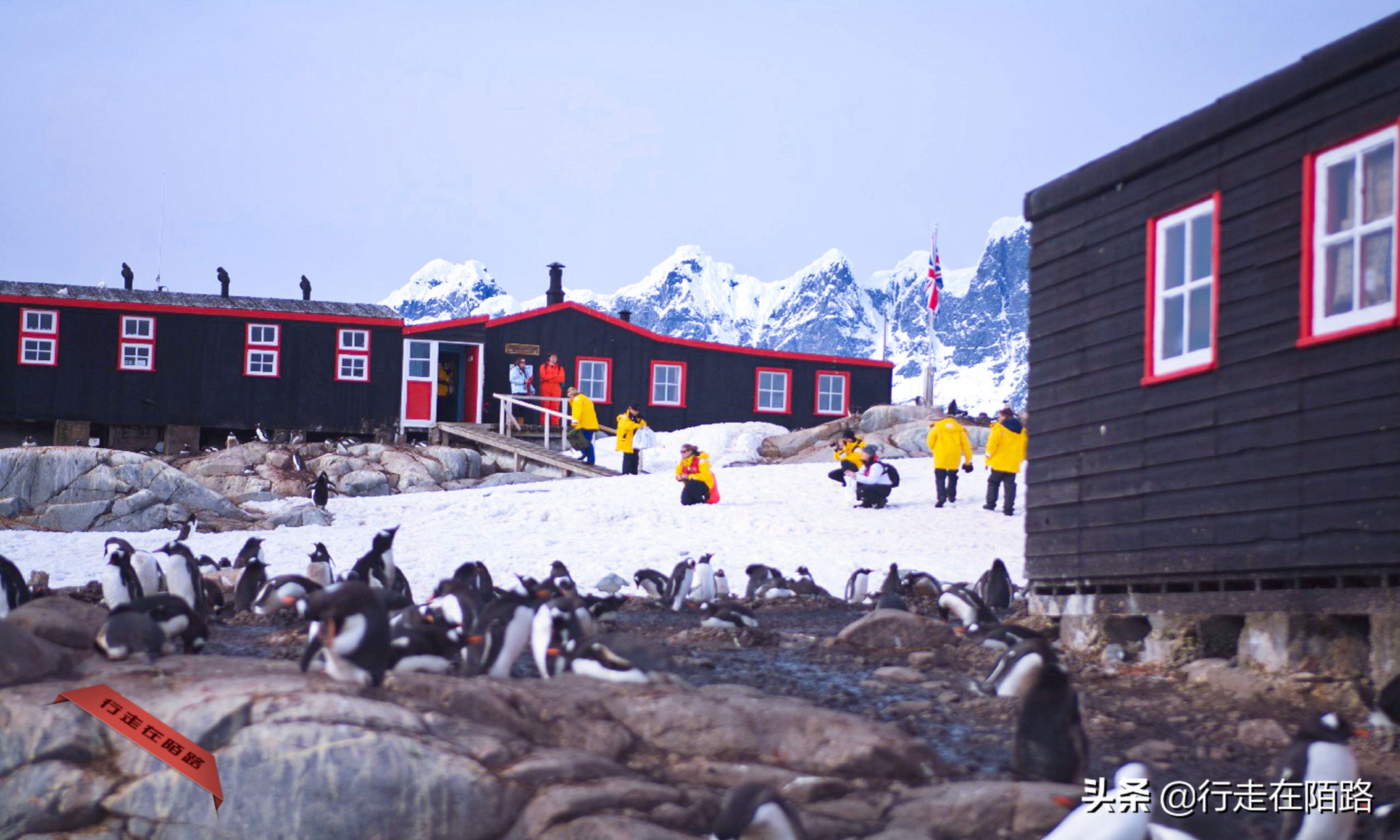 铲屎官的工资,铲屎官工资一天多少钱