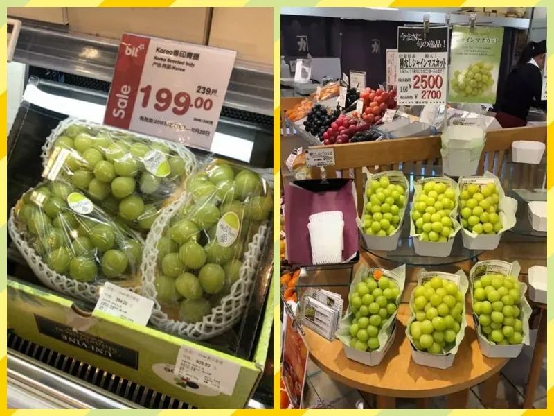 葡萄界的爱马仕晴王,葡萄界中的爱马仕跌落