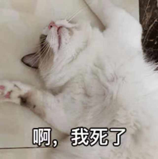 人体最痛的事情,生理上最痛的一次