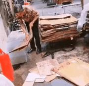 爆笑gif动图,看一遍笑哈哈的gif搞笑动图