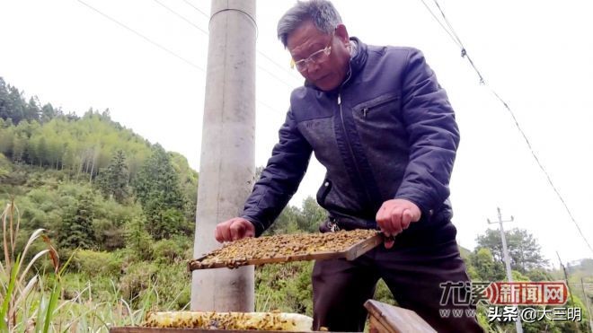 小康来敲门生态养羊,小康来敲门脱贫