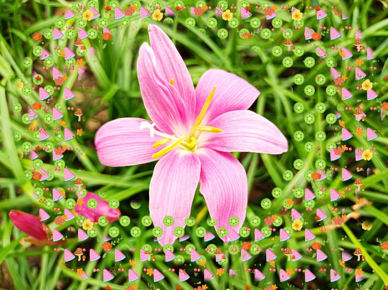 一个人不成熟的四种表现,一个人成熟的标志接受自己的不足