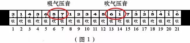 国光口琴24孔复音c调多少钱,24孔复音口琴的基本方法和技巧