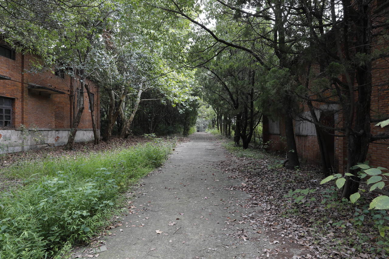 武汉东西湖产的雪花啤酒,东西湖雪花啤酒厂2015年