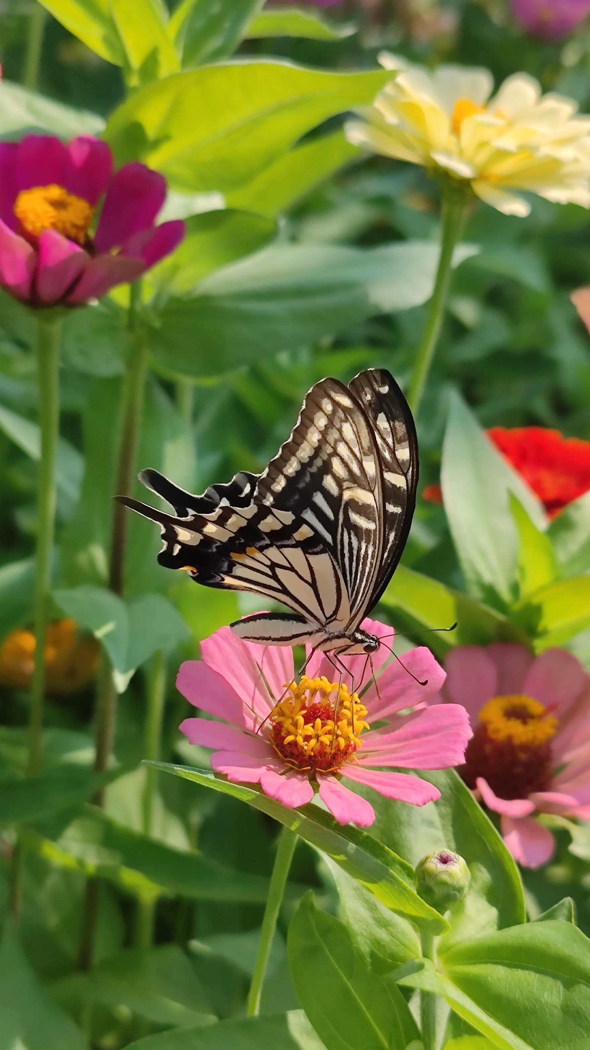 手拍世界手机摄影平台,手拍世界摄影交流平台