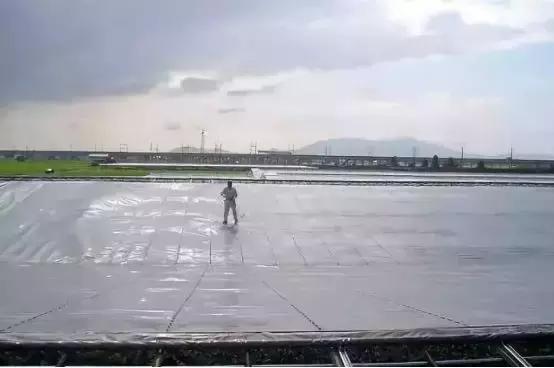 2019葡萄产业发展,葡萄农业发展模式