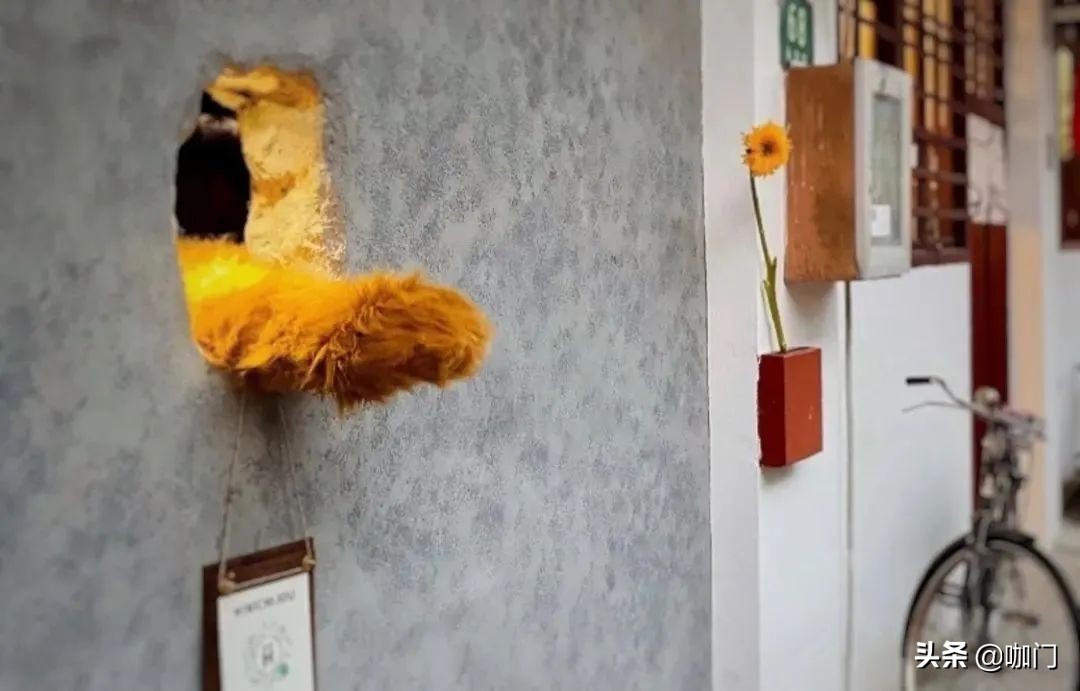 熊掌咖啡爆红,熊掌咖啡怎么样了