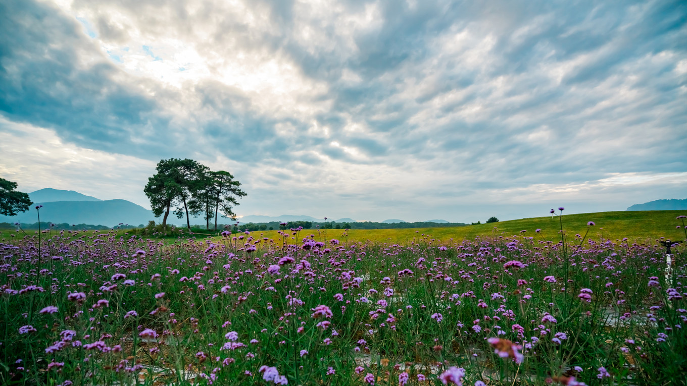 云南腾冲9月旅游攻略,云南腾冲旅游攻略秋天
