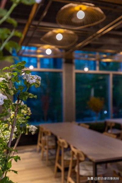 一家红圈律所的极致“凡尔赛”