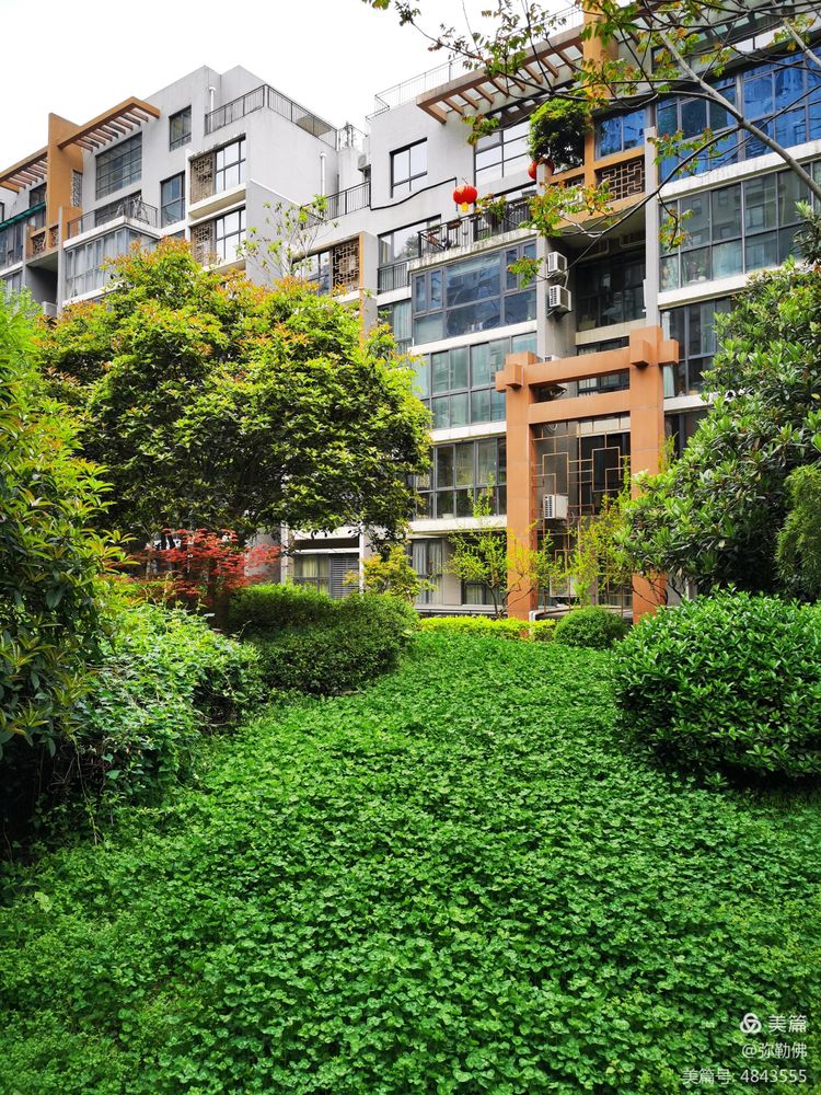 高新枫林华府住房,高新枫林华府小区评测