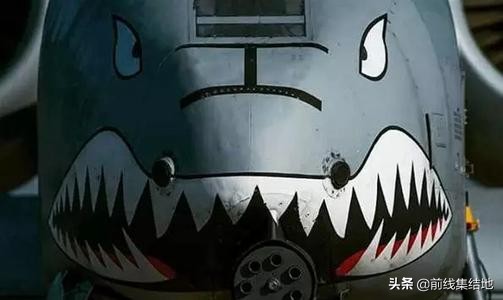 A系列的对地之王,张着大嘴的“海盗”和打不死的“疣猪”