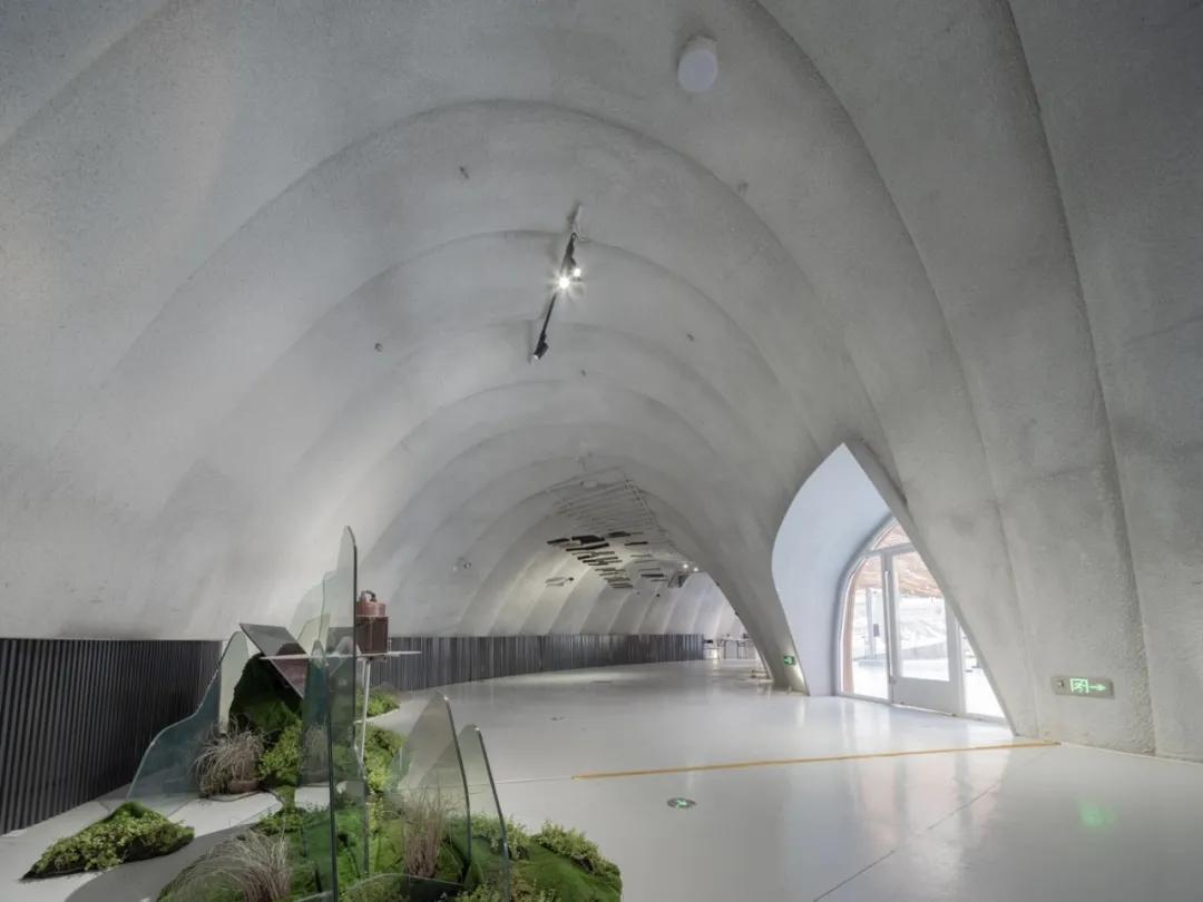 三维编织，第十届中国花卉博览会竹藤馆