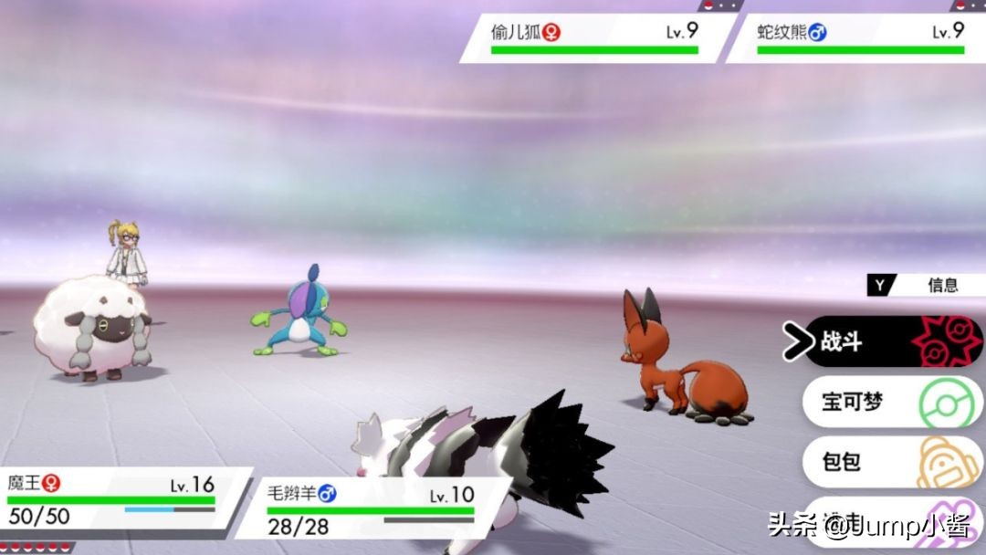 宝可梦剑盾买哪一个好,宝可梦剑盾在什么平台买好