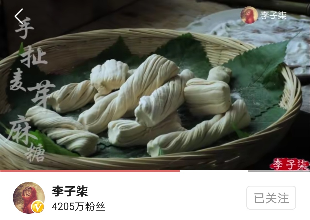 李子柒麦子的一生的播放量,李子柒麦子的生长过程