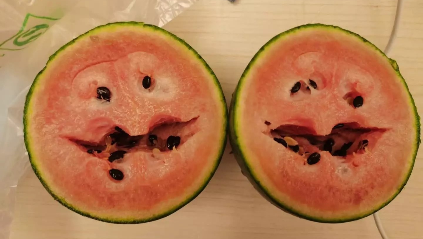 搞笑一家人幽默片段,幽默搞笑视频一家人