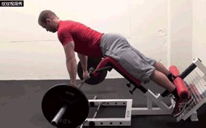 适合下背疼痛的7种核心训练动作,下背没力量怎么练