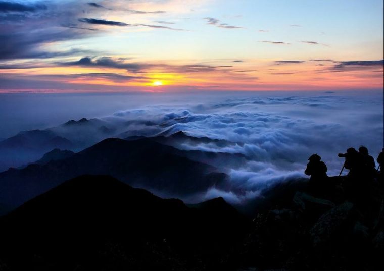 花香弥漫，云海林涛，这个小众景点真的美到让人窒息
