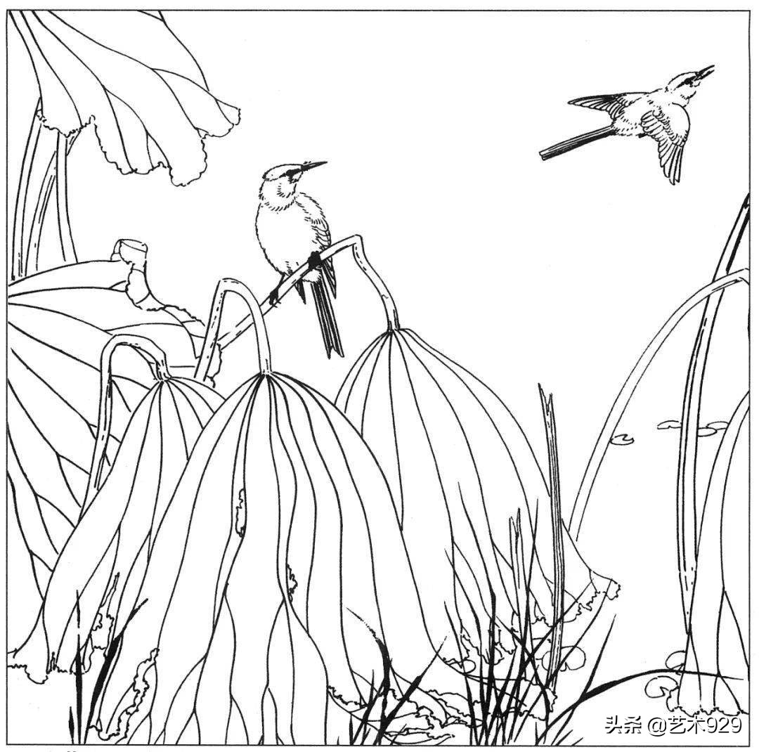 余稚荷花蜻蜓图高清白描底稿,白描荷花勾线方法讲解视频