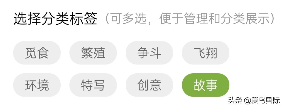 2020观鸟大年,观鸟大年完整版